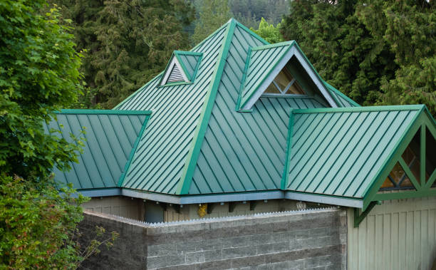 Best Skylight Installation and Repair  in Weyers Cave, VA